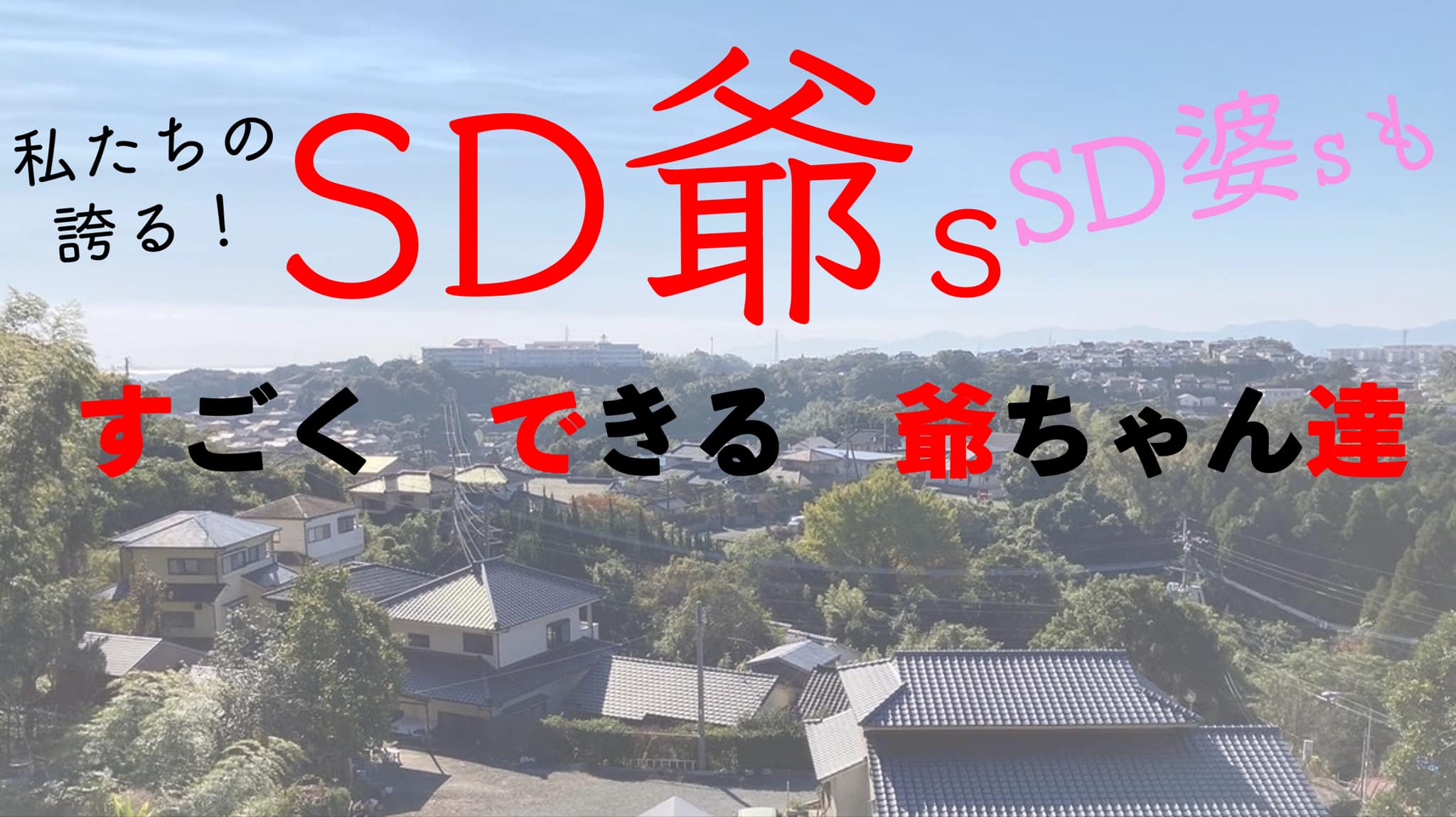 SD爺s