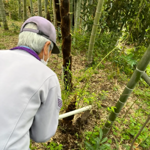 さねかたの様子5