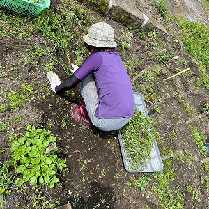 ちゅうざんの様子6